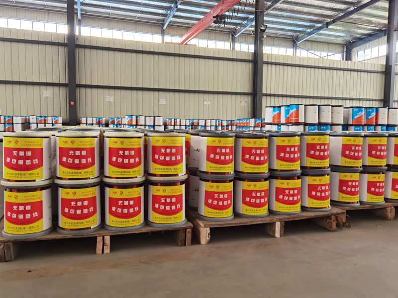 �c���鿴��